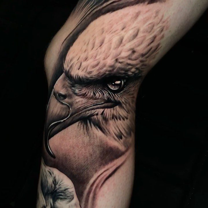 Realistische adelaarskop in black & grey