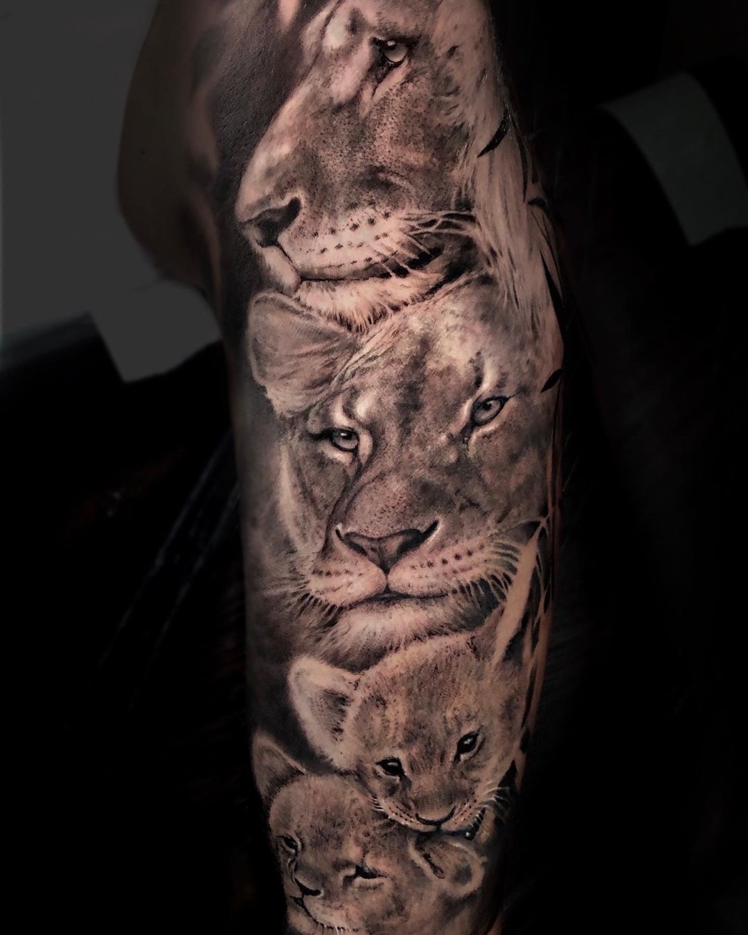 Leeuwenfamilie met welpjes over een hele arm